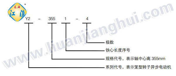 Y2緊湊型高壓三相異步電動機_型號意義說明_六安江淮電機有限公司