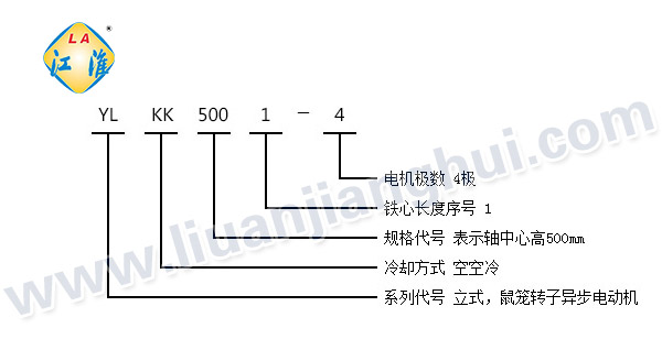 YLKK高壓立式三相異步電動機_型號意義說明_六安江淮電機有限公司