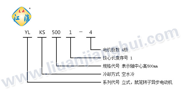 YLKS高壓立式三相異步電動機_型號意義說明_六安江淮電機有限公司