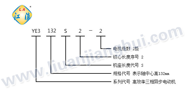 YE3系列三相異步電動機_型號意義說明_六安江淮電機有限公司